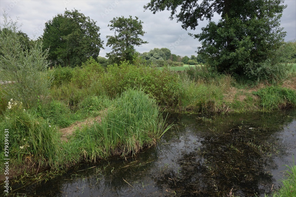 Fototapeta premium Renaturierungsgebiet Niersaue Burgbenden bei Grefrath Oedt