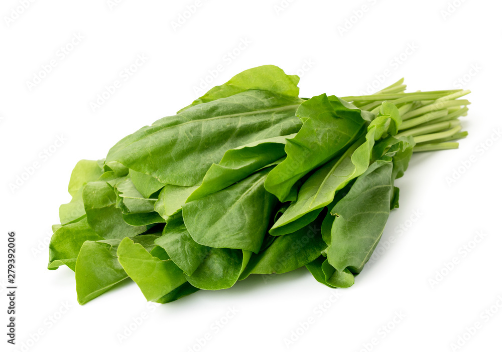 Bunch of sorrel leaves close-up on a white background. Isolated. Bunch of sorrel leaves close-up on a white background. Isolated.