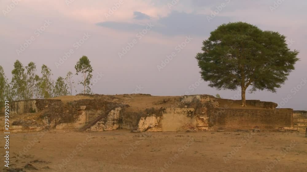 A steady, wide shot of a great tree who is watching over the old ruins of a construction. A steady, wide shot of a great tree who is watching over the old ruins of a construction.