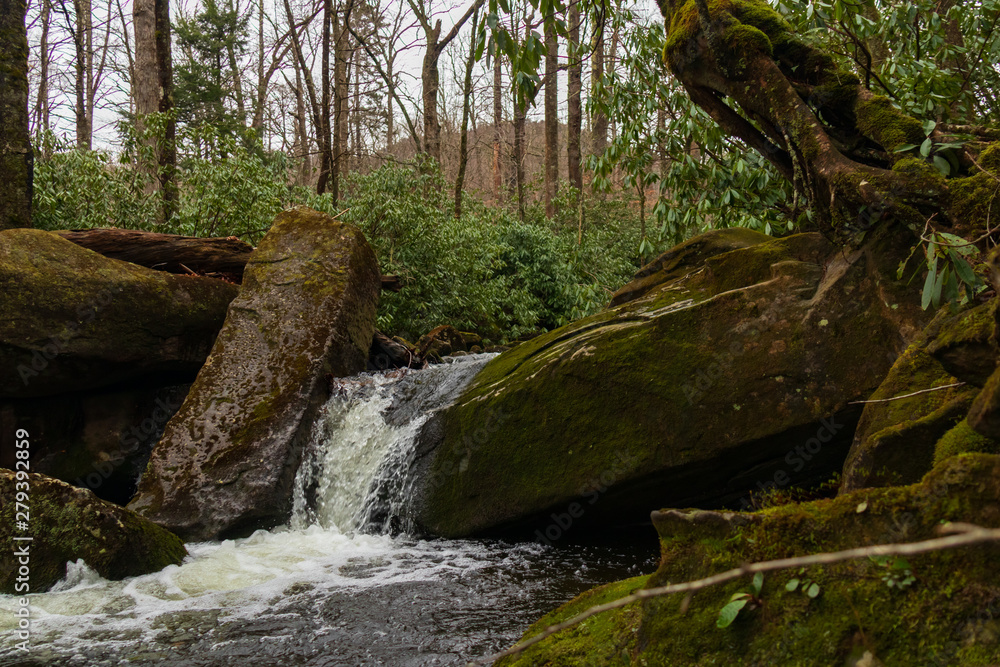 Fototapeta premium Cascading mountain stream in Great Smoky Mountains National Park