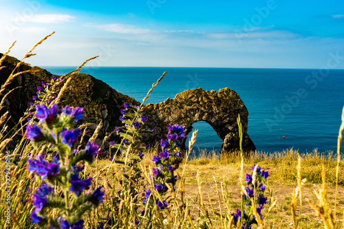 Durdle door rock on the Jurassic Coast south of England with the rock itself in focus and violet flowers in bokeh first plan