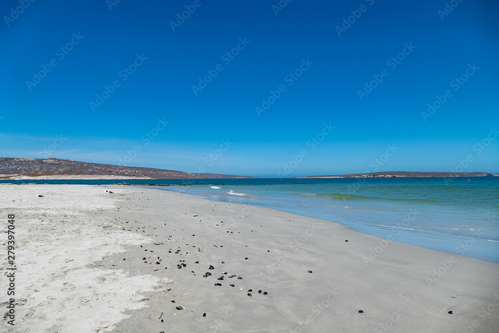 Obraz premium Langebaan Strand Südafrika