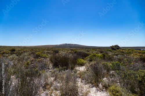 Steppe Nationalpark Südafrika © Dominik