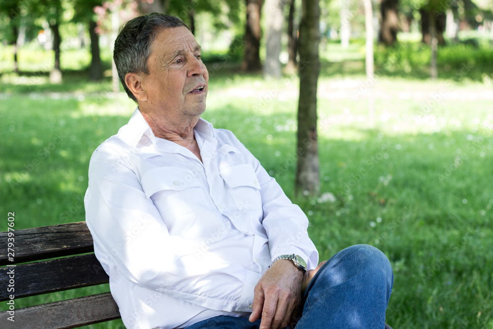 Portrait of a smiling senior man in Nature Portrait of a smiling senior man in Nature
