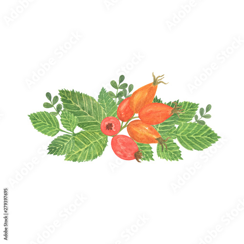 Watercolor flower composition of red rosehip berries with green leaves, arrangement for different design making