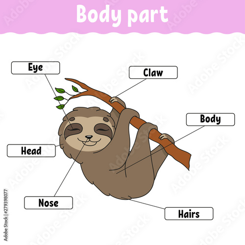 Body part. Learning words. Education developing worksheet. Activity page for study English. Game for children. Funny character. Isolated vector illustration. Cartoon style. photo