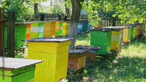 Natural and wooden beehives in sunny garden, Poland