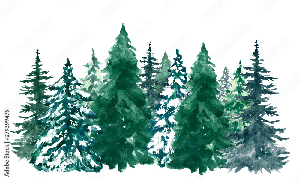 Watercolor pine trees background. Banner with hand painted pine forest, isolated. Snow winter wonderland illustration for Christmas.