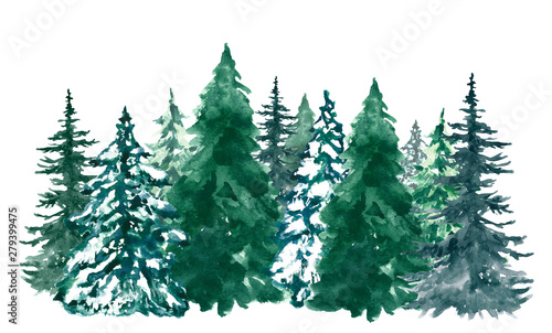 Watercolor pine trees background. Banner with hand painted pine forest, isolated. Snow winter wonderland illustration for Christmas. © Anna Nekotangerine