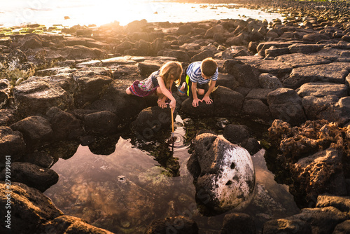 Siblings exploring rock pool at low tide