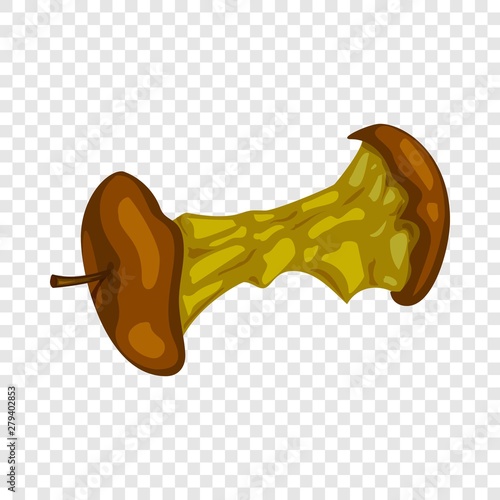 Apple core icon. Cartoon illustration of apple core vector icon for web