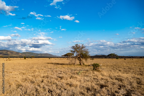 tsavo nationalpark 