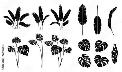 Set of vector banana, monstera, palm leaves isolated on white background. Exotic tropical plants. Used for card,print, wallpaper,plant shop, travel agency. Contour and silhouette. Black and white