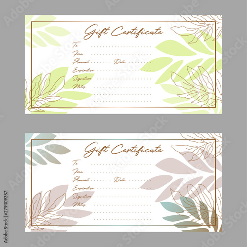 Gift voucher certificate template with simple leaves vector.