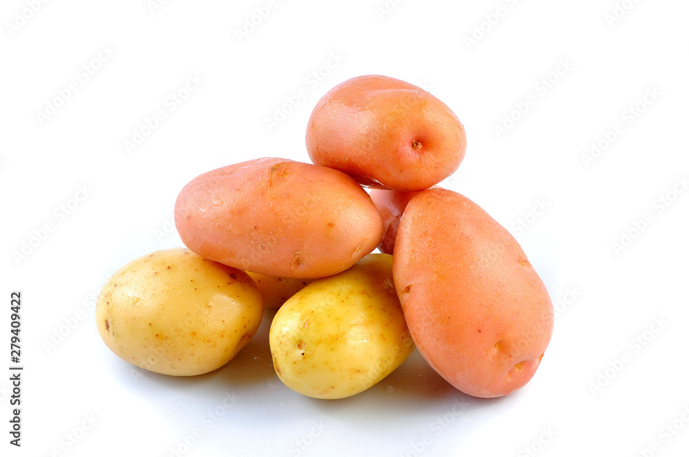 Pink and Yello Clean Potato isolated on white background Pink and Yello Clean Potato isolated on white background