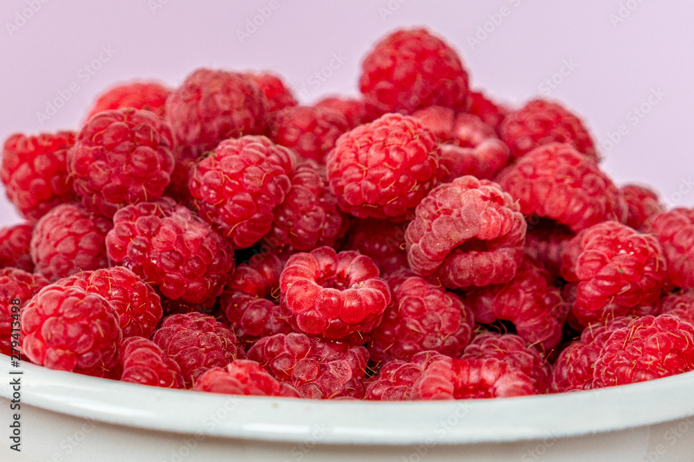 Fresh organic raspberries in a white metal bucket on pink background Fresh organic raspberries in a white metal bucket on pink background