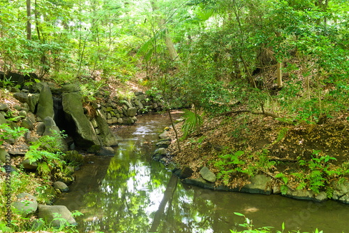 Obraz na płótnie river in the forest w salonie