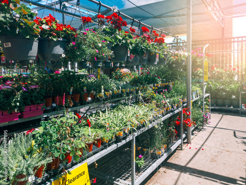 Toronto, Ontario, Canada - June 30, 2019: Garden Centre in Canadian Walmart supermarket store with flowers and plants in pots on shelves.