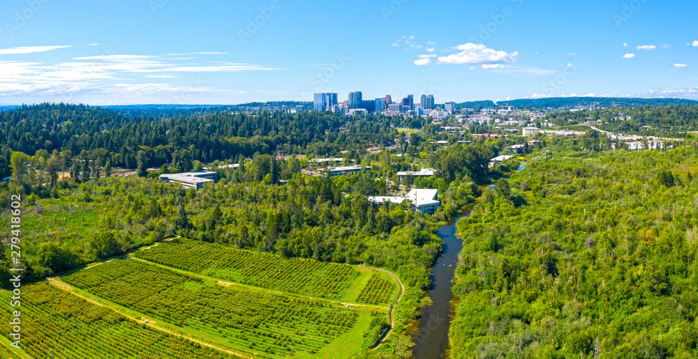 Bellevue Washington USA Aerial Landscape Establishing Shot of City From Mercer Slough