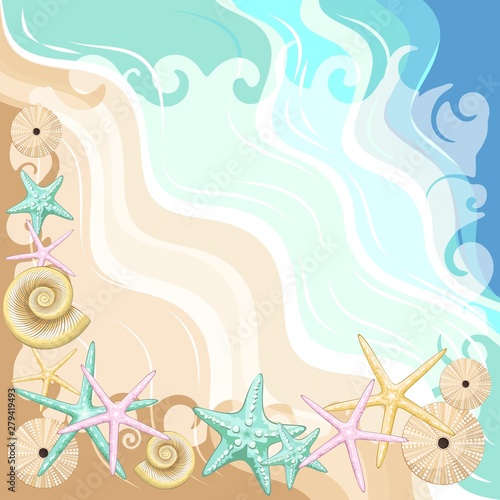 Seashells and starfish Beach Summer Frame Vector Illustration 