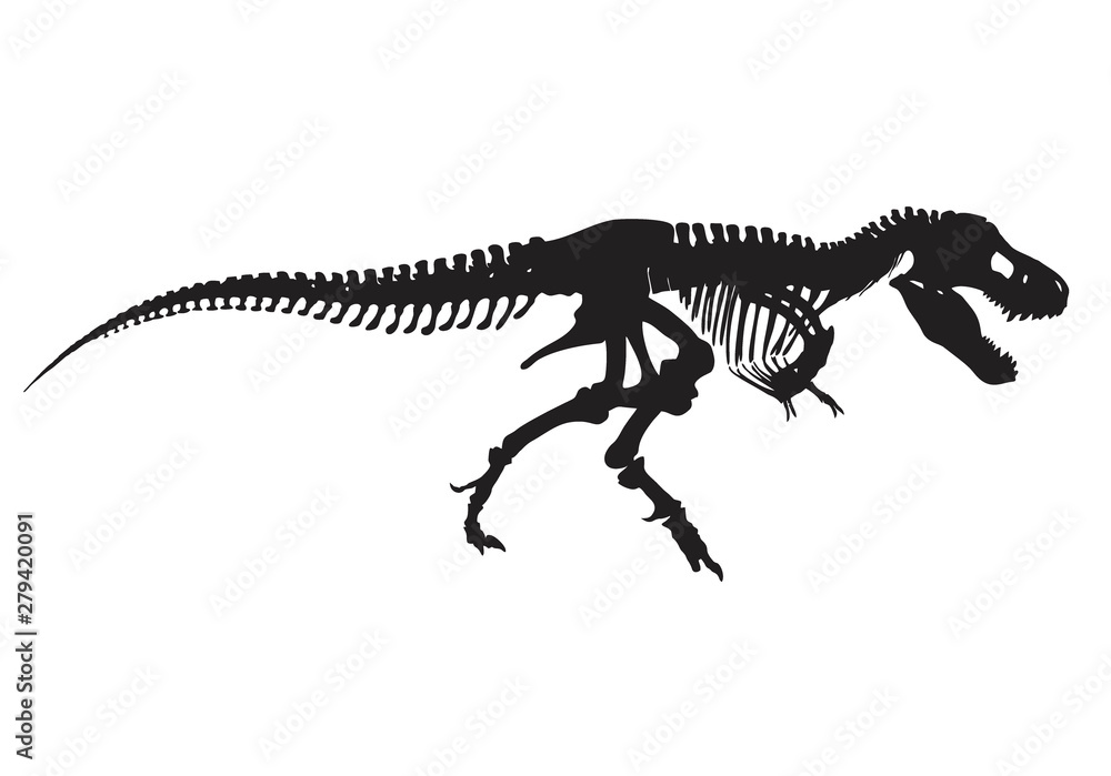 Vetor T-Rex esqueleto download gratuito