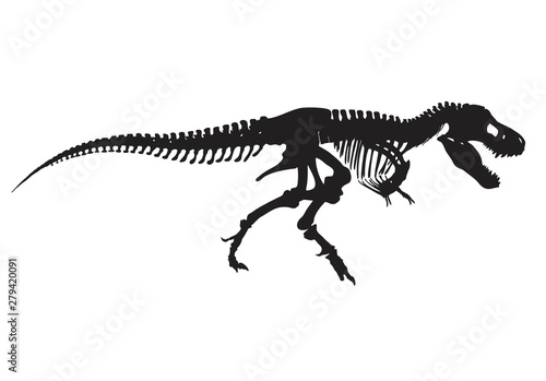 Canvas Print T-rex vector skeleton