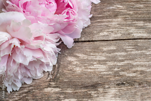 Pleasant Peonies