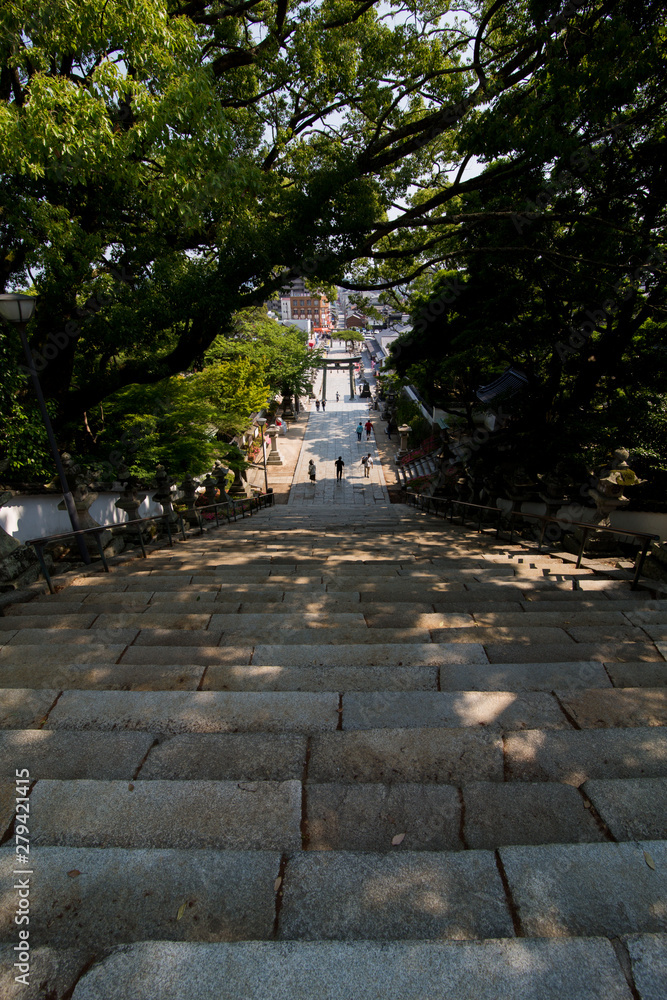 神社の参道 神社の参道