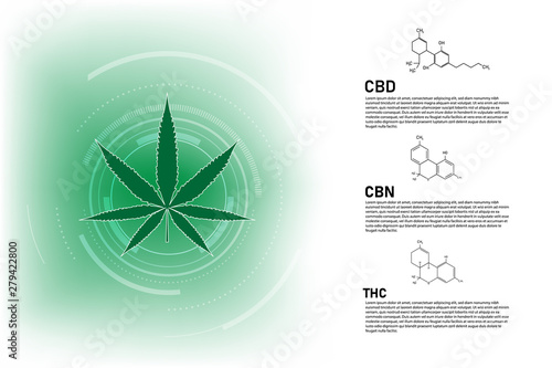 molecular structure medical  chemistry formula cannabis of the formula CBD,vector illustration