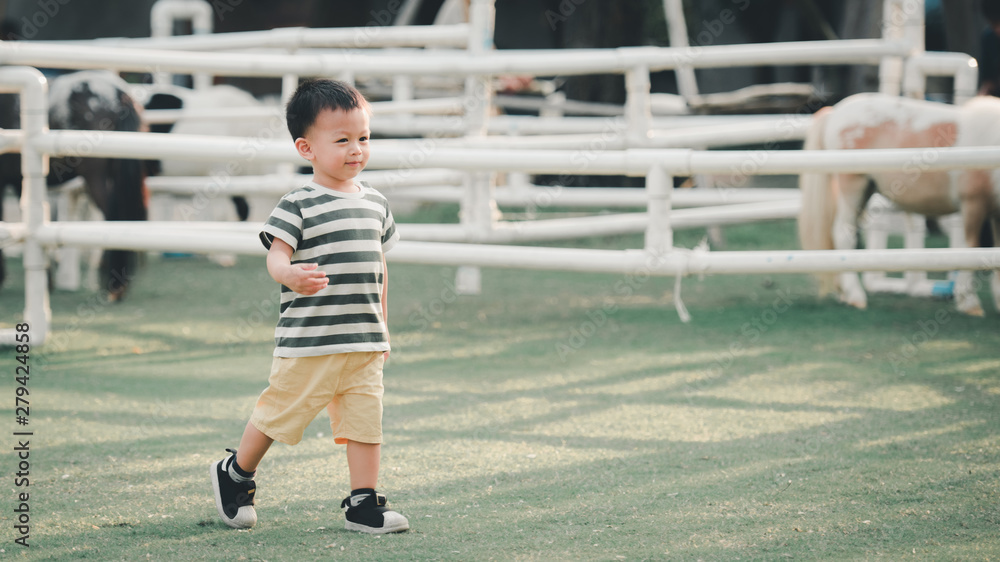 Adorable little boy of two years having fun on green field in summer in soft evening light