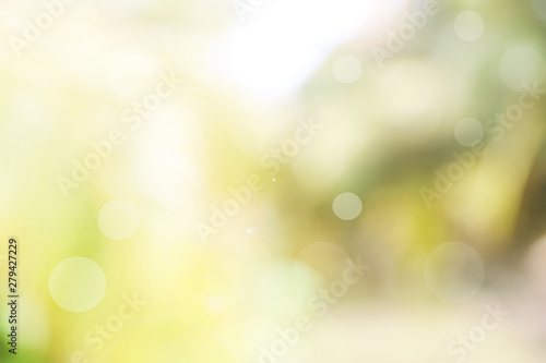 Abstract spring or summer with bokeh background