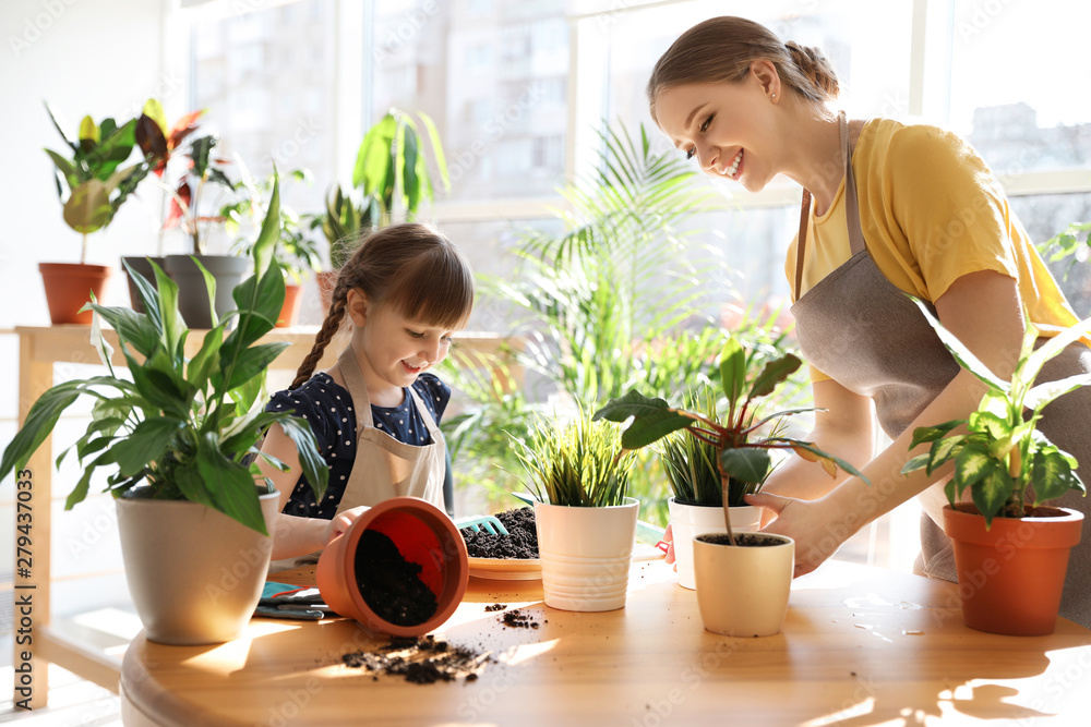 Mother and daughter taking care of home plants at table indoors - obrazy, fototapety, plakaty 