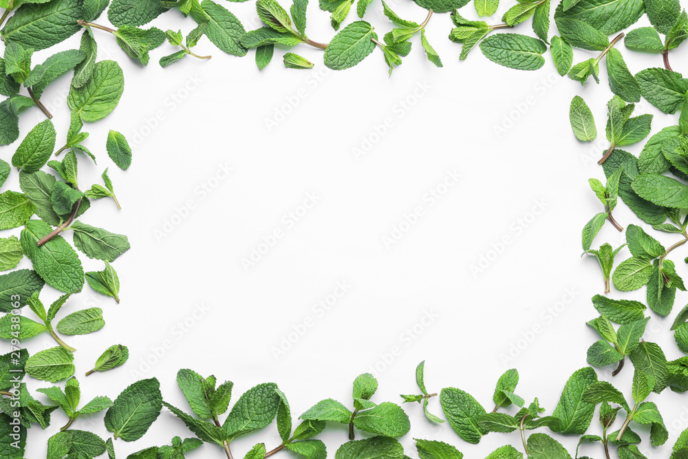 Frame made of fresh green mint leaves on white background, top view. Space for text Frame made of fresh green mint leaves on white background, top view. Space for text