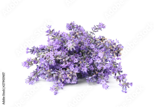 Beautiful tender lavender flowers on white background
