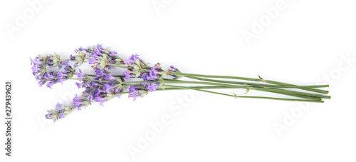 Fototapeta Naklejka Na Ścianę i Meble -  Beautiful tender lavender flowers on white background, top view