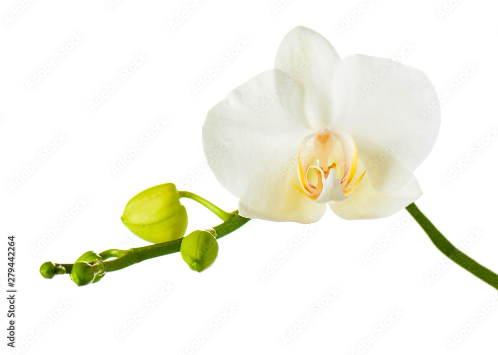 image to crop