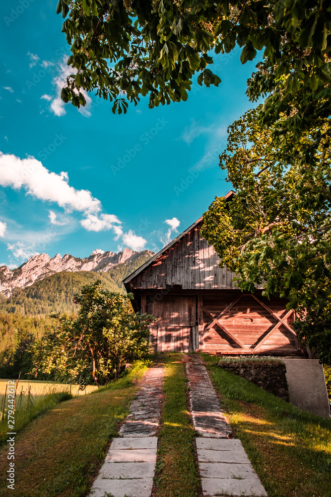 Summer has arrived in the italian alps Summer has arrived in the italian alps