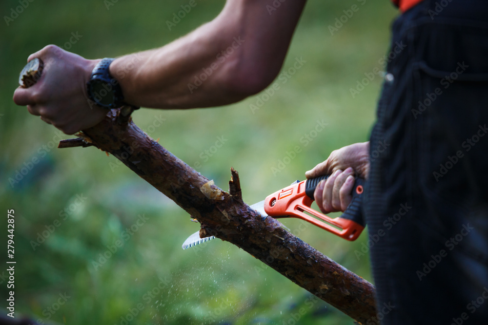 Using a small tourist hand saw in the hike. Male hand sawing firewood folding saw orange
