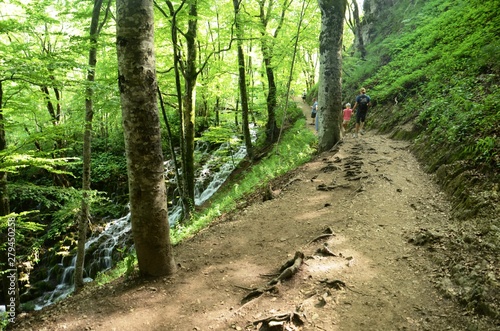 Croatie : Parc national des lacs de Plitvice (Dalmatie du Nord)