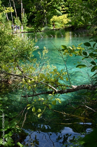 Fototapeta Naklejka Na Ścianę i Meble -  Croatie : Parc national des lacs de Plitvice (Dalmatie du Nord)