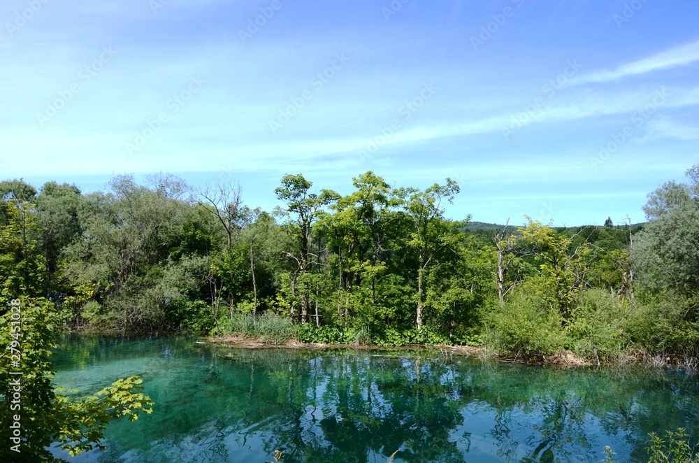 Fototapeta premium Croatie : Parc national des lacs de Plitvice (Dalmatie du Nord)