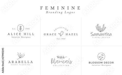 Set of Feminine Vector Signs or Logo Templates - Vector