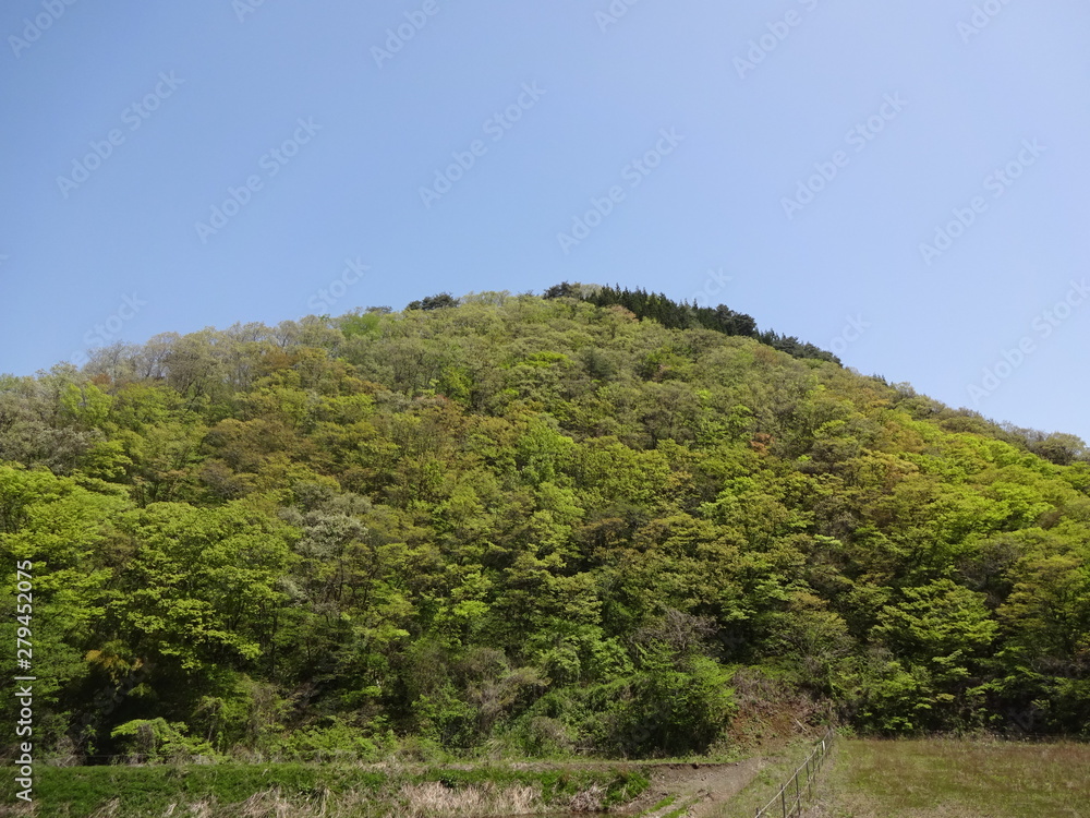 Landscape of forest in Sado city, Japan