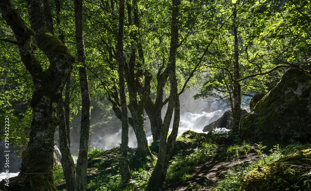 Magnificent view  early midsummer morning in Norway. Hike through the forest to 218 metre high Feigefossen (Feigumfossen) waterfall. Mystical feeling, sun shining through the foliage, river streaming.