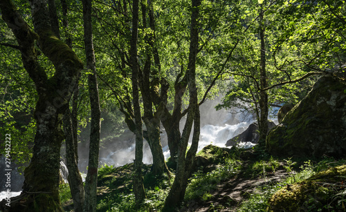 Magnificent view early midsummer morning in Norway. Hike through the forest to 218 metre high Feigefossen (Feigumfossen) waterfall. Mystical feeling, sun shining through the foliage, river streaming.