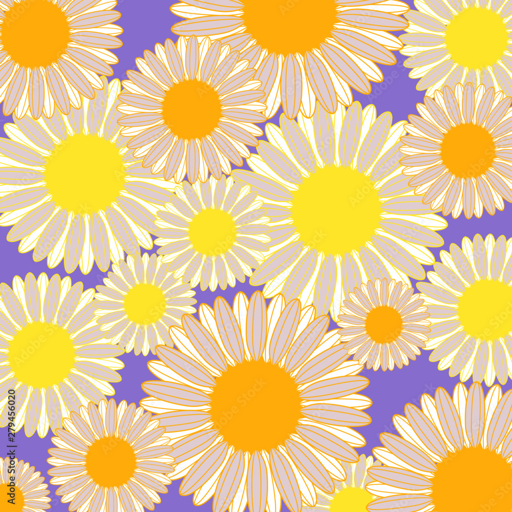 Daisy flowers with purple background Daisy flowers with purple background