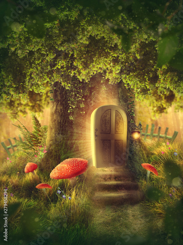 Fototapeta Magic tree house