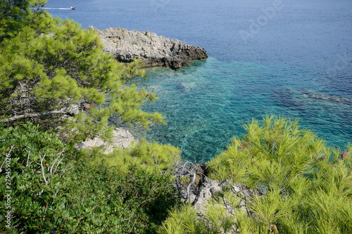 coast of mediterranean sea with pine forest in the Tremiti Islands 