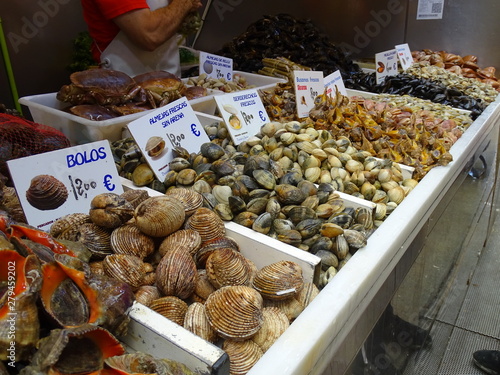 almejas caracolas moluscos  bivalvos en pescaderia mercado atarazanas malaga