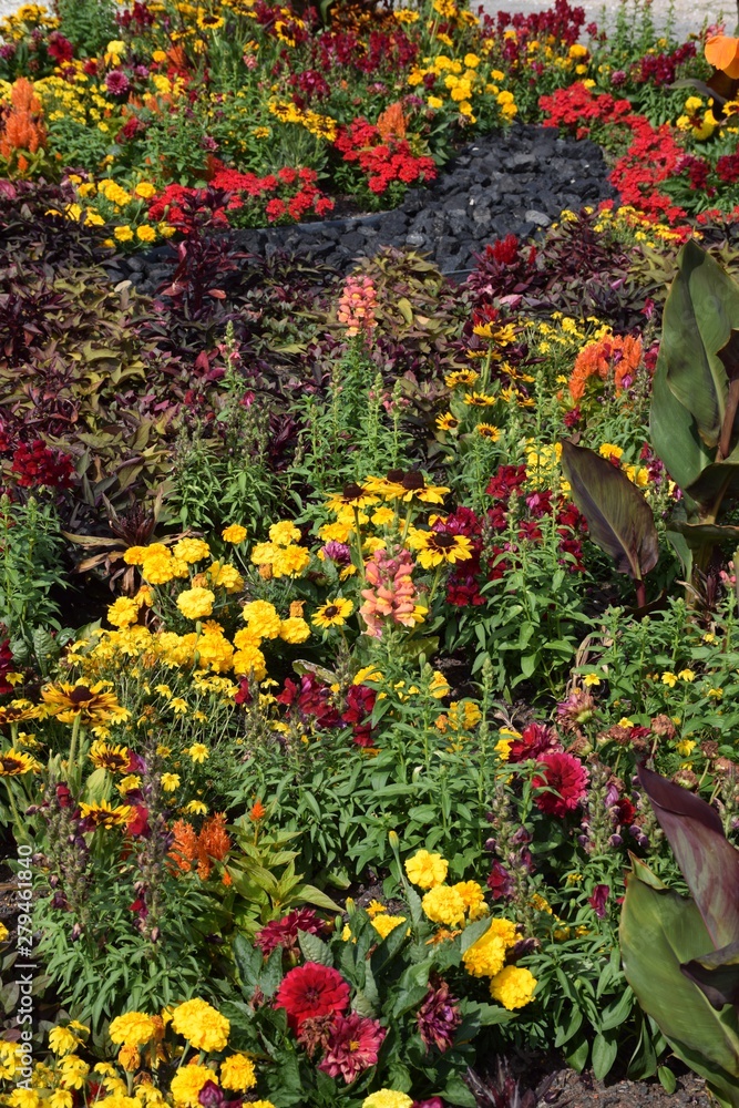 Blumenbeete Blumenbeete